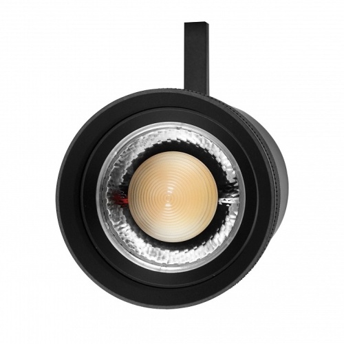 Светильник на штанге Lightstar Canno Pro 304407 в Нижнем Новгороде фото 2