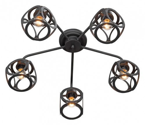 Потолочная люстра Vitaluce V4973 V4973-1/5PL в Нижнем Новгороде фото 4