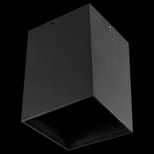 Накладной светильник Lightstar Ottico QUA 214427 в Нижнем Новгороде фото 2