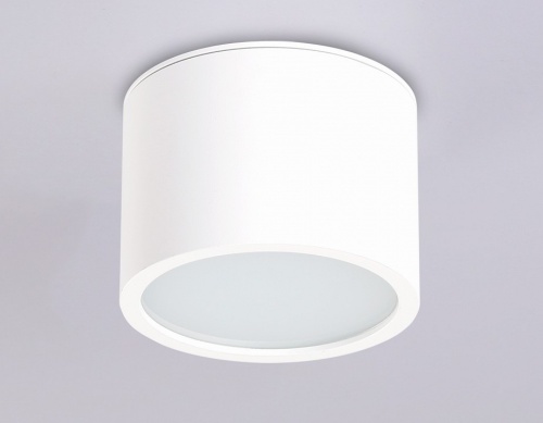 Накладной светильник Ambrella Light TN TN6550 в Нижнем Новгороде фото 2