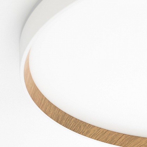 Накладной светильник Citilux ETALON CL750500R в Нижнем Новгороде фото 12