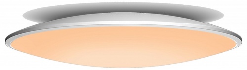 Накладной светильник Mantra Slim 7975 в Нижнем Новгороде фото 3