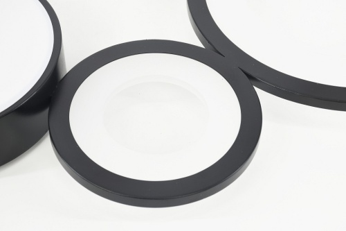 Потолочная люстра Rivoli Aliona Б0066468 в Нижнем Новгороде фото 2