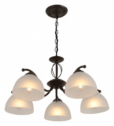 Подвесная люстра Rivoli Jackeline Б0054758 в Нижнем Новгороде фото 5