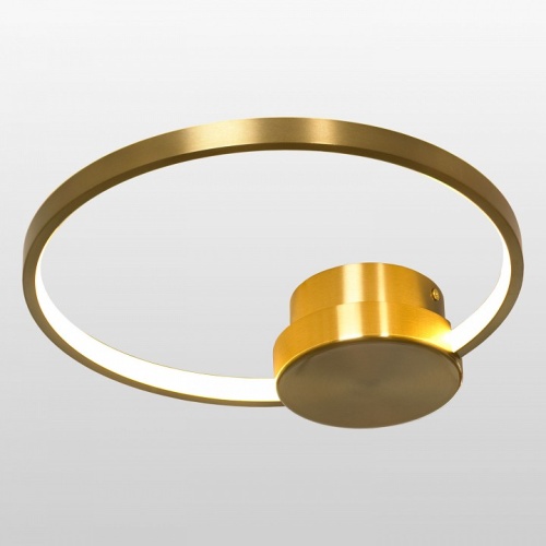 Бра Lussole Lowell LSP-7109 в Нижнем Новгороде фото 4