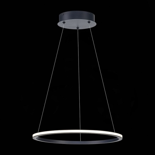 Подвесной светильник ST-Luce ST604 OUT ST604.443.22 в Нижнем Новгороде фото 4