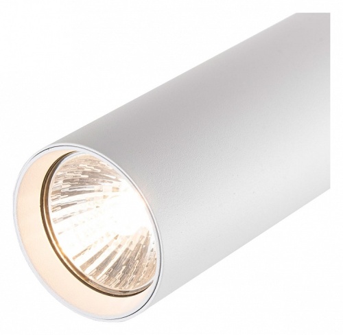 Светильник на штанге Escada 20001 20001TRA/02 SWH в Нижнем Новгороде фото 2