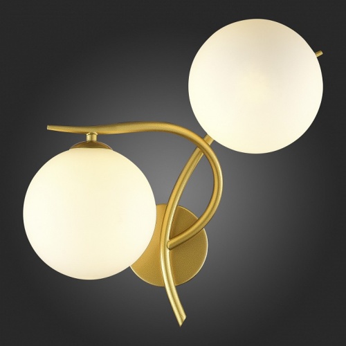 Бра EVOLUCE Artu SLE2210-201-02 в Нижнем Новгороде фото 4