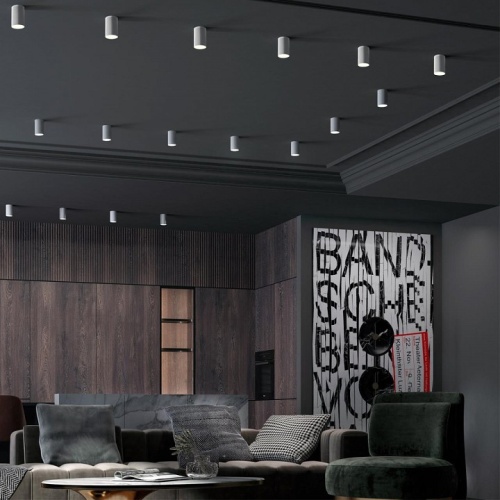 Накладной светильник Novotech Elina 370726 в Нижнем Новгороде фото 3