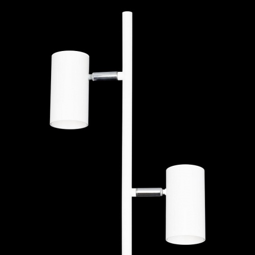 Торшер Citilux Twin CL809010N в Нижнем Новгороде фото 4