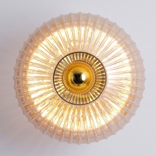 Накладной светильник Lussole  LSP-5051 в Нижнем Новгороде фото 2