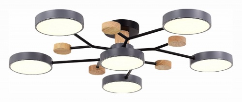 Потолочная люстра EVOLUCE Faema SLE6006-702-06 в Нижнем Новгороде фото 5