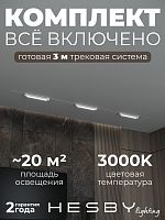 Комплект трековый Hesby Lighting Skylite №1 HSBL_kompl_S001_VI3W3K_01 в Нижнем Новгороде