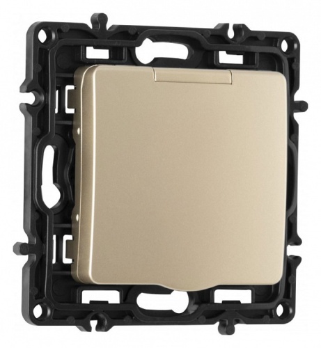 Розетка влагозащищенная с заземлением и со шторкой с крышкой Arte Milano am-217 217.41-1.shampan в Нижнем Новгороде фото 5