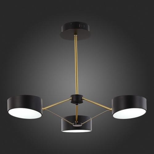 Люстра на штанге EVOLUCE Valle SLE6005-402-03 в Нижнем Новгороде фото 3