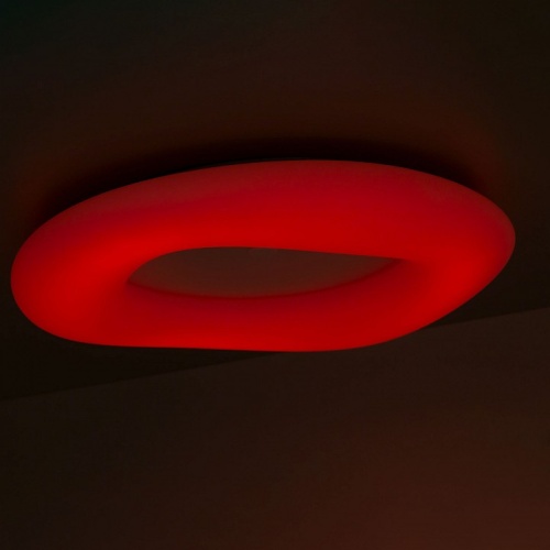 Накладной светильник Citilux Стратус Смарт CL732A800G в Нижнем Новгороде фото 4