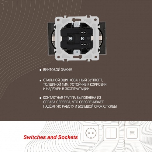 Розетка двойная с заземлением, без рамки Arte Milano am-206 206.40-2.shampan в Нижнем Новгороде фото 2