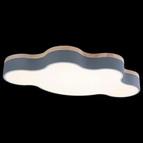 Накладной светильник Loft it Axel 4 10005/36 Grey в Нижнем Новгороде фото 3