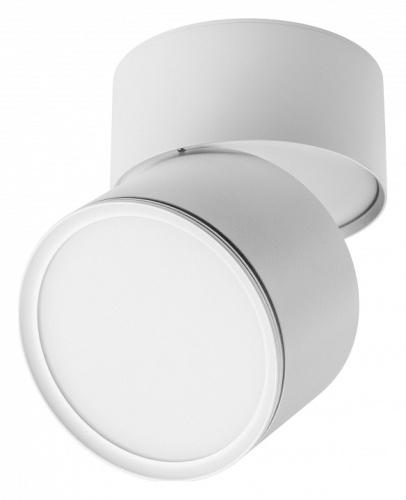 Накладной светильник Lightstar Acuto 215886 в Нижнем Новгороде