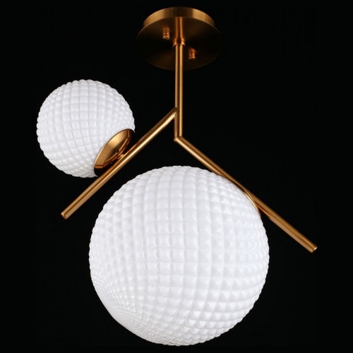 Светильник на штанге Aployt Marzena APL.300.07.02 в Нижнем Новгороде фото 6