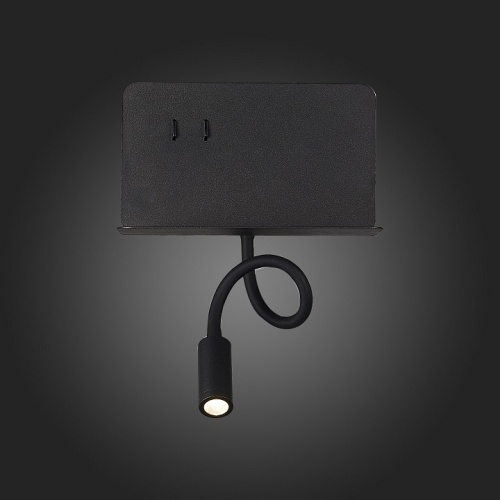 Бра ST-Luce Pinaggio SL1576.401.02 в Нижнем Новгороде фото 2