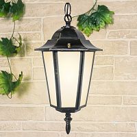 Подвесной светильник Elektrostandard Claro a035742 в Нижнем Новгороде