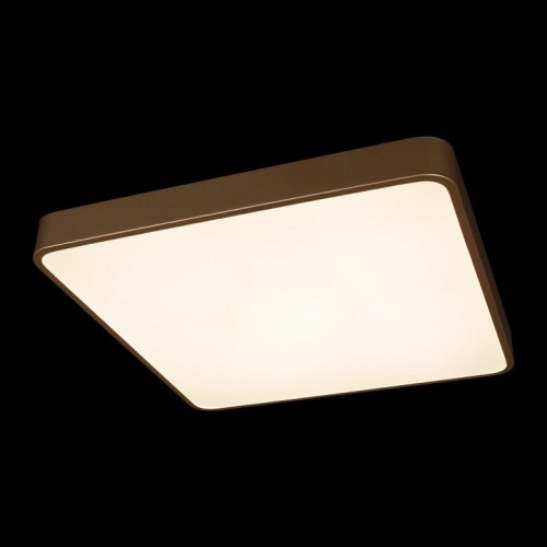 Накладной светильник Loft it Flims 10228/D в Саратове фото 2