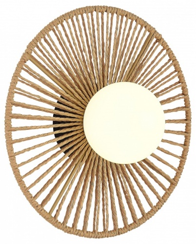 Накладной светильник EVOLUCE LOOM SLE6022-601-01 в Нижнем Новгороде