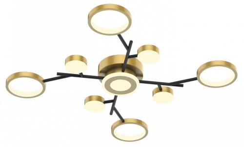Потолочная люстра F-promo Hybrid 4686-9C в Нижнем Новгороде фото 3