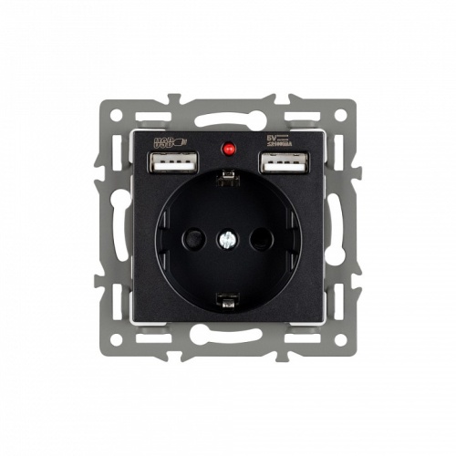 Розетка с заземлением и 2хUSB type A, без рамки Arlight SCT 043734 в Нижнем Новгороде фото 2