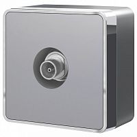 ТВ-розетка оконечная Werkel Gallant (серебряный) W5083006 в Нижнем Новгороде