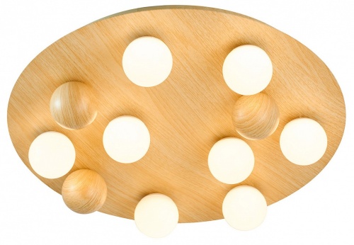 Потолочная люстра F-promo Swarm 4694-8C в Нижнем Новгороде фото 3