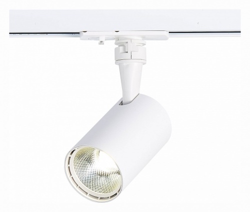 Светильник на штанге ST-Luce Cami ST351.546.10.36 в Нижнем Новгороде фото 9