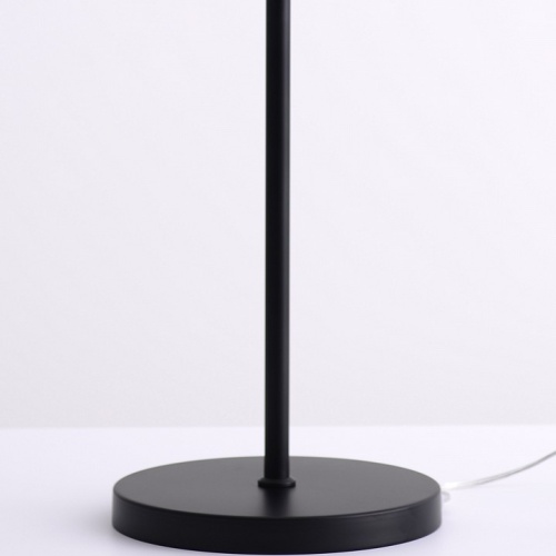 Торшер ILLUMICO IL2218 IL2218-1FLS-24 в Нижнем Новгороде фото 3