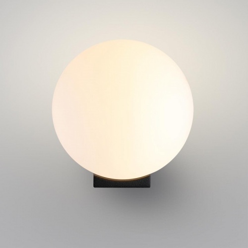 Накладной светильник Odeon Light NATURE 7124/1WA в Нижнем Новгороде фото 4