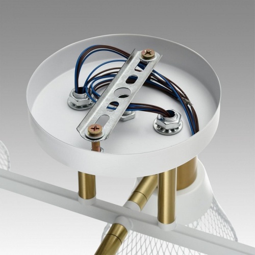 Люстра на штанге Lumion Anriya 8045/6C в Нижнем Новгороде фото 3