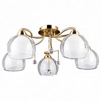 Потолочная люстра Omnilux Maluventu OML-54717-05 в Нижнем Новгороде