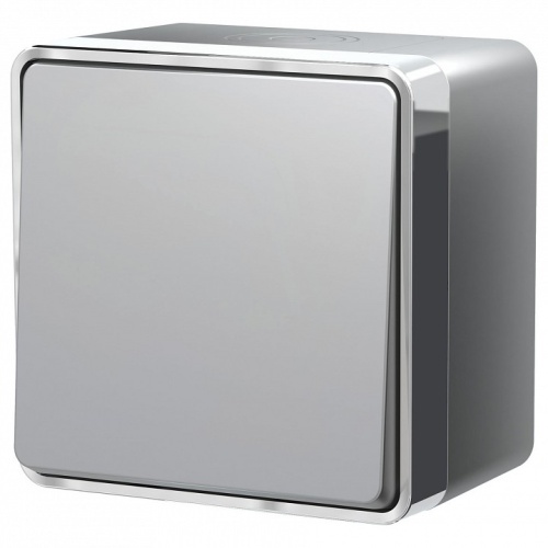 Выключатель одноклавишный влагозащищенный Werkel Gallant (серебряный) W5010206 в Нижнем Новгороде