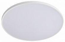 Накладной светильник Lightstar Arco Eco 225740 в Нижнем Новгороде