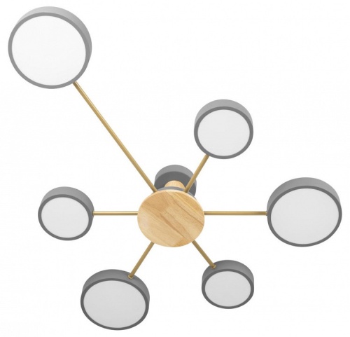 Потолочная люстра Loft it Sunrise 10316/6 Grey в Нижнем Новгороде фото 5