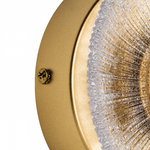 Накладной светильник Lightstar Erica 609602 в Нижнем Новгороде фото 5