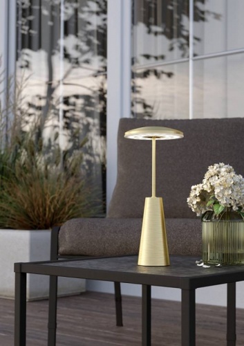 Настольная лампа декоративная Eglo PICCOLA 900923 в Нижнем Новгороде фото 3