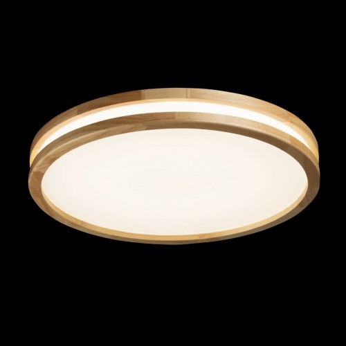 Накладной светильник De City Норден 660015401 в Нижнем Новгороде фото 6