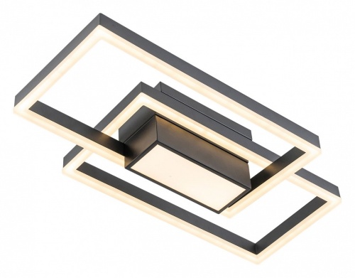 Потолочная люстра Escada Twins 10242/3LED в Нижнем Новгороде фото 5