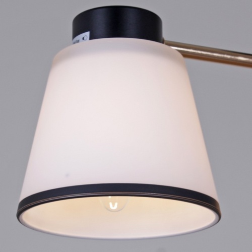 Люстра на штанге  30560-0.3-03 BK+FG в Нижнем Новгороде фото 2