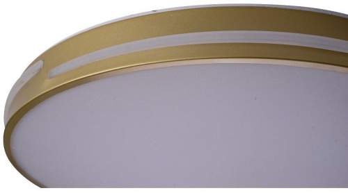 Накладной светильник Zortes Gabby ZRS.90610.50 в Нижнем Новгороде фото 3