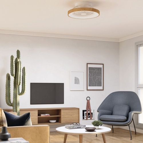 Светильник с вентилятором Mantra (люстры-вентиляторы) Tibet 7806 в Нижнем Новгороде фото 3