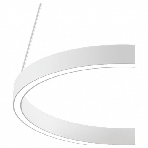 Подвесной светильник Maytoni Rim MOD058PL-L22W4K в Нижнем Новгороде фото 3