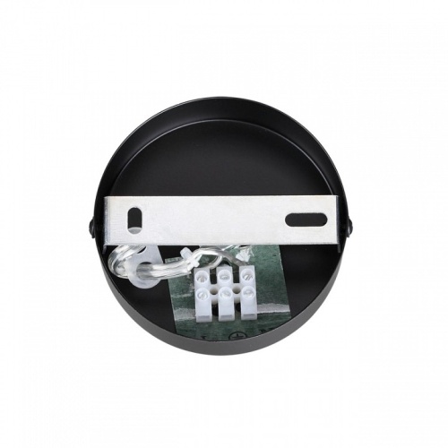 Подвесной светильник Lumion Animaisa 8003/1A в Нижнем Новгороде фото 6