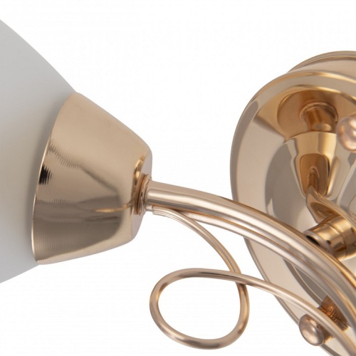 Бра Arte Milano Napoli-6966 336966/1W FGD в Нижнем Новгороде фото 2